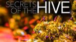Watch Secrets of the Hive Vidbull