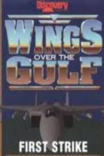 Watch Wings Over the Gulf Vol  1  First Strike Vidbull