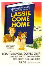 Watch Lassie Come Home Vidbull