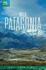 Watch Wild Patagonia Vidbull