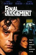 Watch Final Judgement Vidbull
