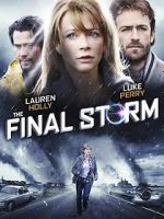 Watch The Final Storm Vidbull