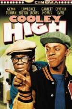 Watch Cooley High Vidbull