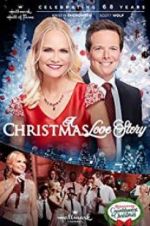 Watch A Christmas Love Story Vidbull