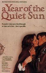 Watch A Year of the Quiet Sun Vidbull