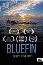 Watch Bluefin Vidbull