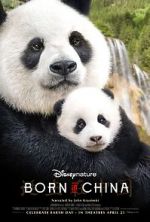Watch Born in China Vidbull