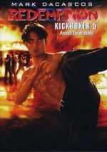 Watch The Redemption: Kickboxer 5 Vidbull