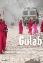 Watch Gulabi Gang Vidbull