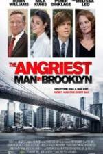 Watch The Angriest Man in Brooklyn Vidbull