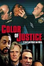 Watch Color of Justice Vidbull