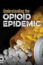 Watch Understanding the Opioid Epidemic Vidbull