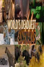 Watch National Geographic - Worlds Deadliest Animal Battles Vidbull