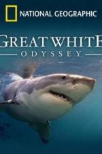 Watch Great White Odyssey Vidbull