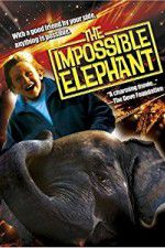 Watch The Incredible Elephant Vidbull