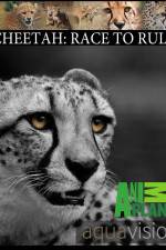 Watch Cheetah: Race to Rule Vidbull