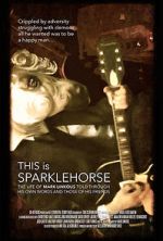 Watch This Is Sparklehorse Vidbull