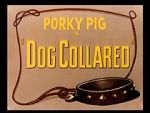 Watch Dog Collared (Short 1950) Vidbull