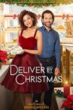 Watch Deliver by Christmas Vidbull