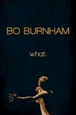 Watch Bo Burnham: what Vidbull