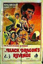 Watch The Black Dragon's Revenge Vidbull