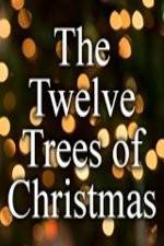 Watch The Twelve Trees of Christmas Vidbull