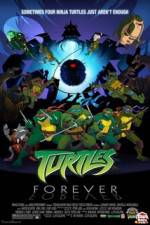 Watch Teenage Mutant Ninja Turtles Turtles Forever Vidbull