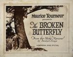 Watch The Broken Butterfly Vidbull