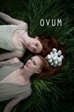 Watch Ovum Vidbull