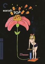 Watch Monterey Pop Vidbull