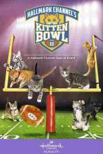 Watch Kitten Bowl II Vidbull