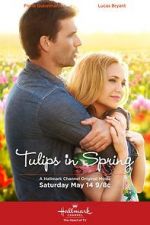 Watch Tulips in Spring Vidbull