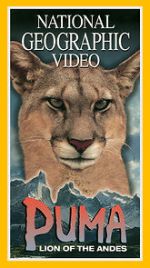 Watch Puma: Lion of the Andes Vidbull