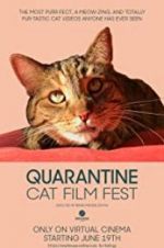 Watch Quarantine Cat Film Fest Vidbull