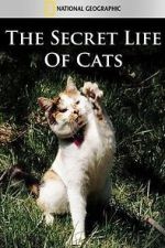 Watch The Secret Life of Cats Vidbull