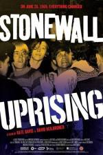 Watch Stonewall Uprising Vidbull