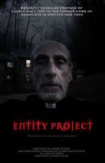 Watch Entity Project Vidbull