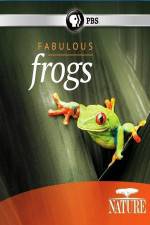 Watch Nature: Fabulous Frogs Vidbull