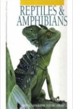 Watch Reptiles and Amphibians Vidbull