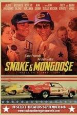 Watch Snake and Mongoose Vidbull