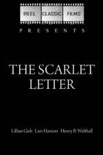 Watch The Scarlet Letter Vidbull