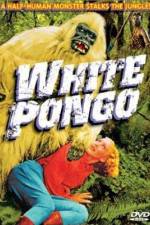 Watch White Pongo Vidbull