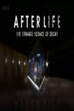 Watch After Life: The strange Science Of Decay Vidbull