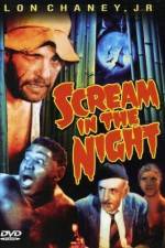 Watch A Scream in the Night Vidbull