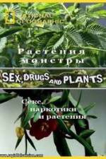 Watch National Geographic Wild: Sex Drugs and Plants Vidbull