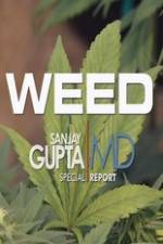 Watch CNN Weed Sanjay Gupta Report Vidbull