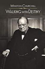 Watch Winston Churchill: Walking with Destiny Vidbull