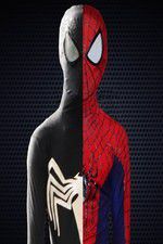 Watch Spider-Man 2 Age of Darkness Vidbull