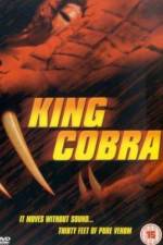 Watch King Cobra Vidbull