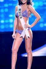 Watch 2010 Miss Universe Pageant Vidbull